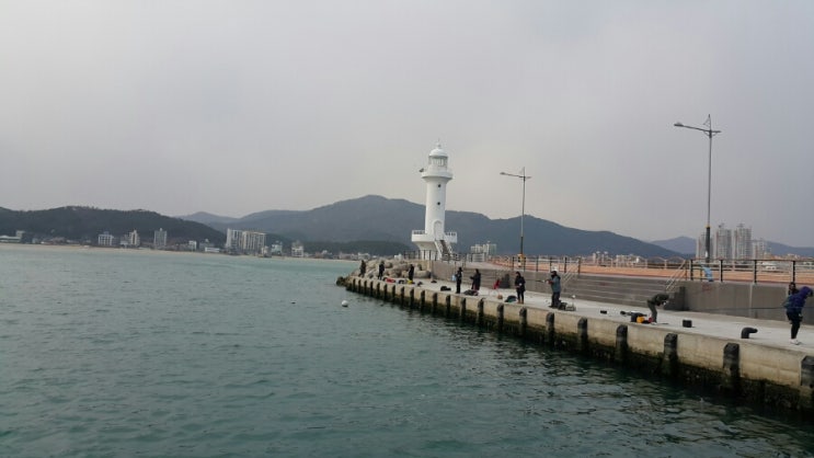  학리방파제