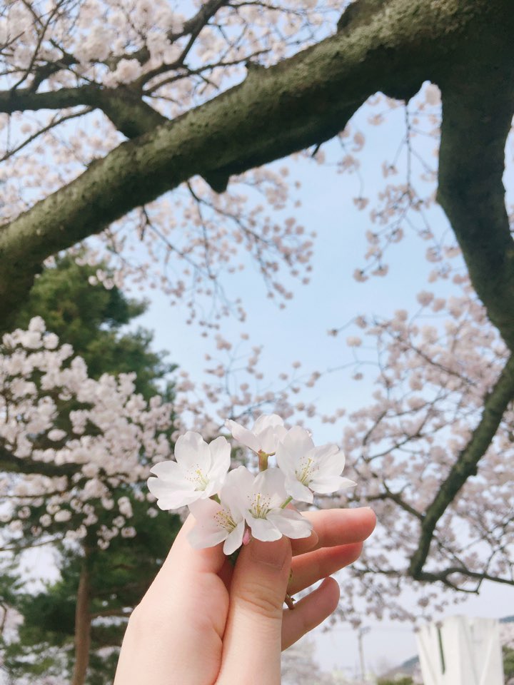  경상남도 신라 진흥왕 창녕비 다녀왔던 기억이 나네요!