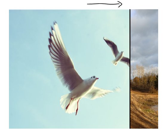 righr.PNG?type=w2