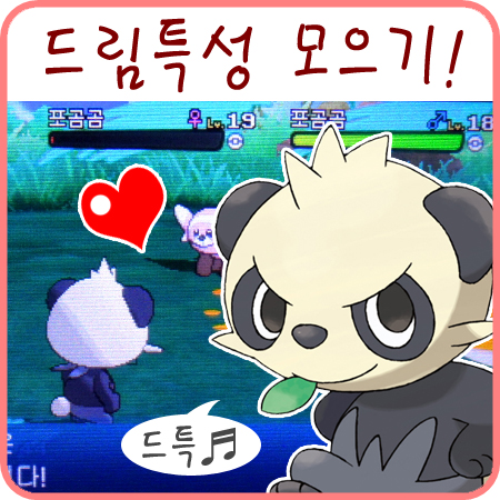  포켓몬스터 썬문 드림특성 드특 모으기~
