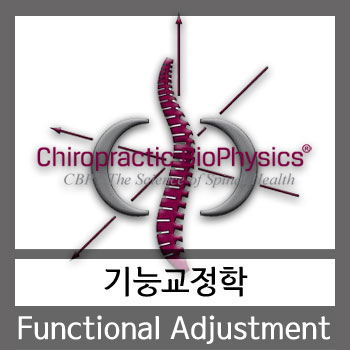  기능교정학[카이로프랙틱교육]