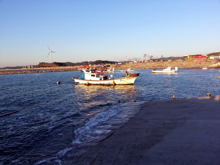  충남 보령 가볼만한곳 여행지 천북굴단지 천북굴축제 장소 석화구이 굴구이에 산행까지..