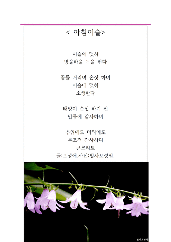  아침이슬