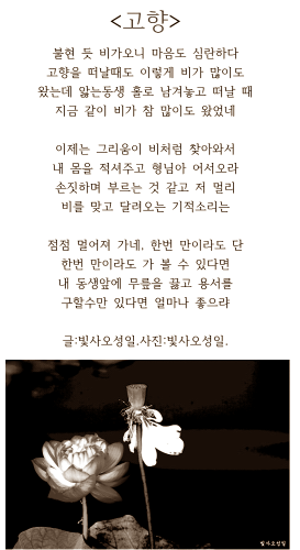  고량