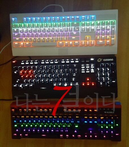  꼭 봐야 할! 반짝반짝 LED 기계식 키보드 3종 간단 비교 사용기