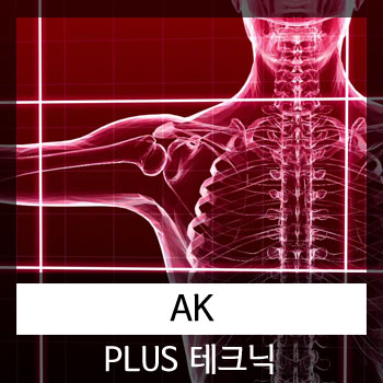  PLUS 테크닉[AK 교육]