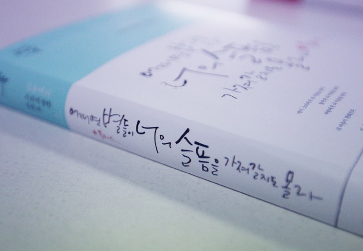 어쩌면 별들이 너의 슬픔을 가져갈지도 몰라+ Plus 어쩌면 별들이 너의 슬픔을 가져갈지도 몰라+ Plus
