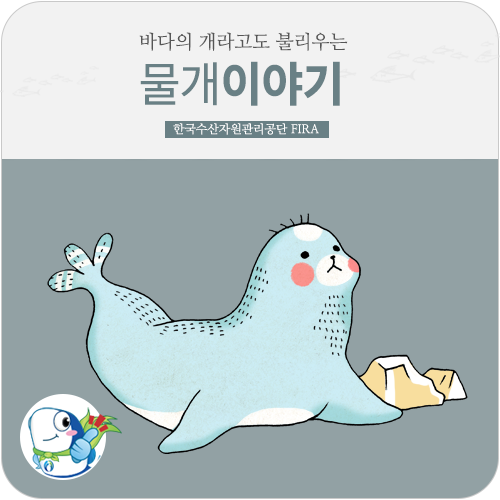 어색한 순간 물개 얼굴
