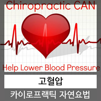  고혈압 카이로프랙틱 자연요법