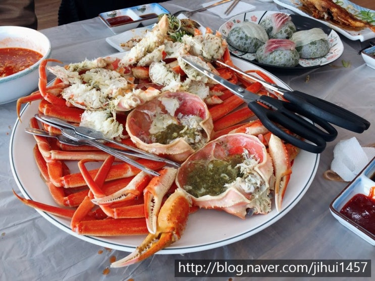  [강원도 속초] 동명항 맛집 청정대게