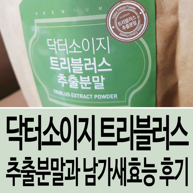  남가새효능과 솔약사네 닥터소이지 트리블러스 후기