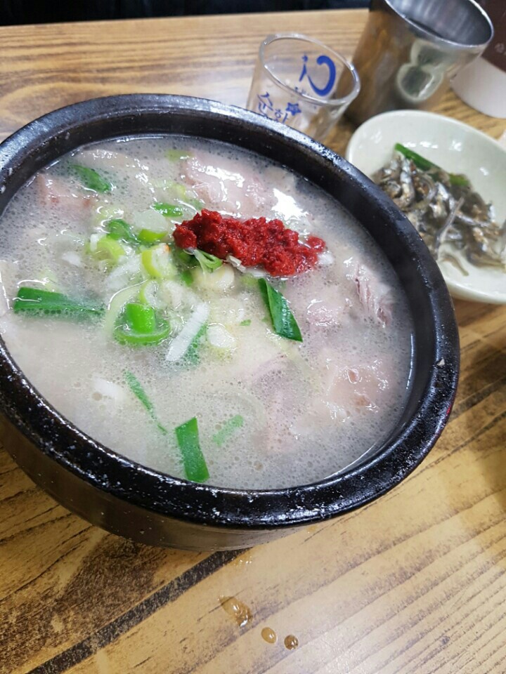  쓸쓸한 외톨이 남자의 부산여행기 1