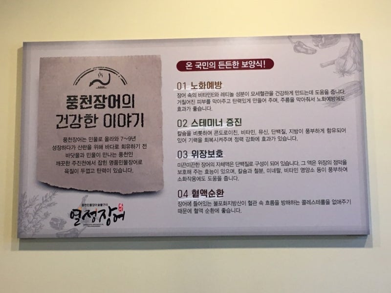 민물장어의 효능과 부작용. 여름 보양식 꼭 챙기세요. 3