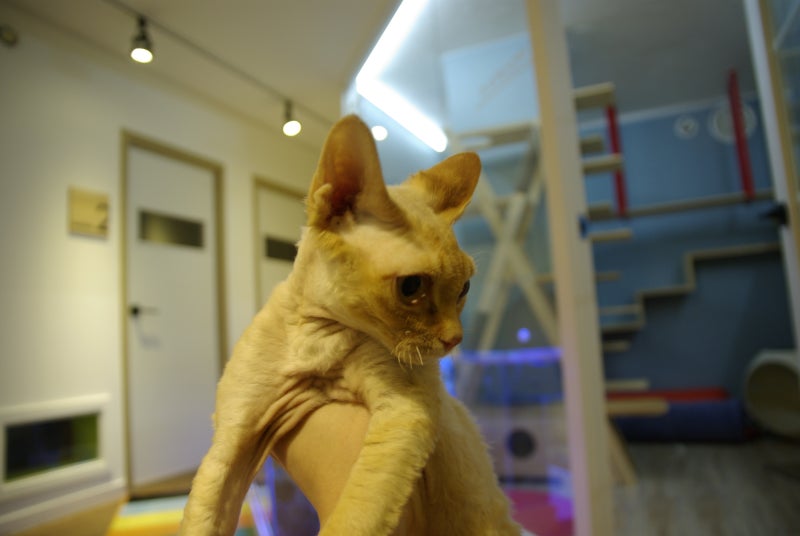 사진 7