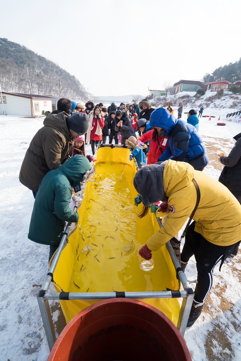 겨울 가볼만한 곳 안성빙어축제에 다녀오다 : 네이버 블로그