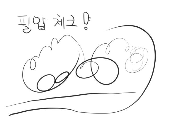  와콤 인튜어스 프로 PTH-641로 사이툴을 사용해 보았다.