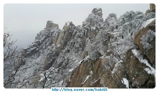  도봉산 눈꽃산행 가고 싶다~
