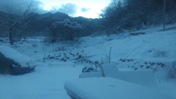 산골에 밤사이 폭설이 내렸어요.