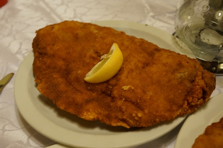  [유럽/오스트리아/비엔나] 슈니첼 맛집 - Schnitzelwirt 슈니첼비르트