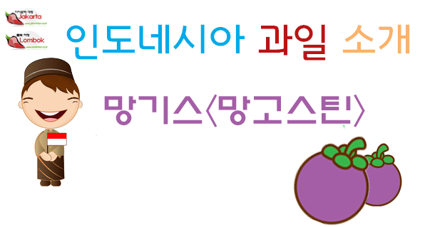  롬복 여행 열대과일 <망기스>