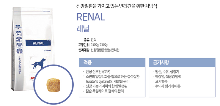  고양이 신부전 사료