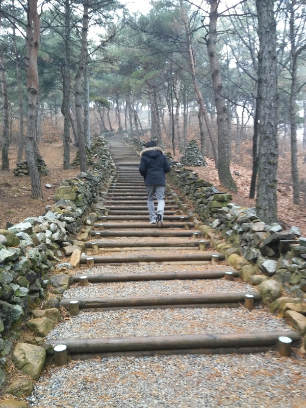  경북 상주 경천대