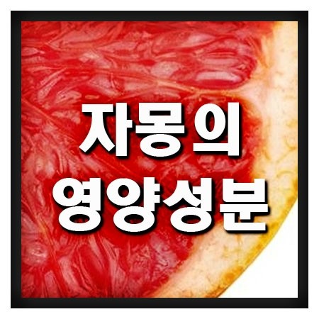  자몽의 영양성분 [자몽의 효능&부작용] 다이어트 식품!