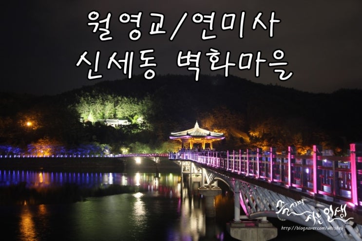  [안동 가볼만한 곳] 월영교/연미사/신세동 벽화마을