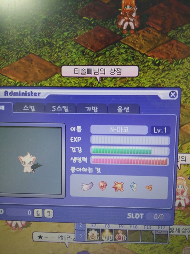  테일즈위버) 펫 설명.