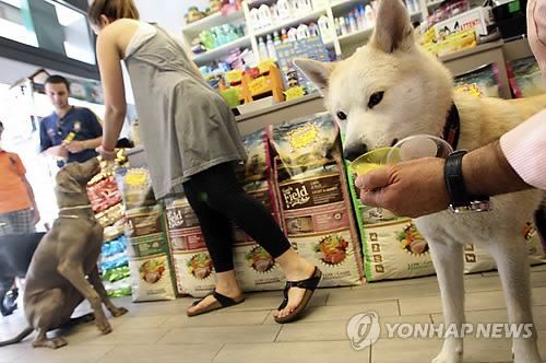伊에 애완동물 보험 등장…15만원에 의료·실종견 수색 등 지원 伊에 애완동물 보험 등장…15만원에 의료·실종견 수색 등 지원
