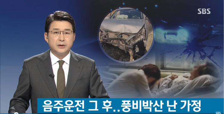  [헌법재판소 결정] 아파트 주차장에서의 음주운전 처벌 합헌