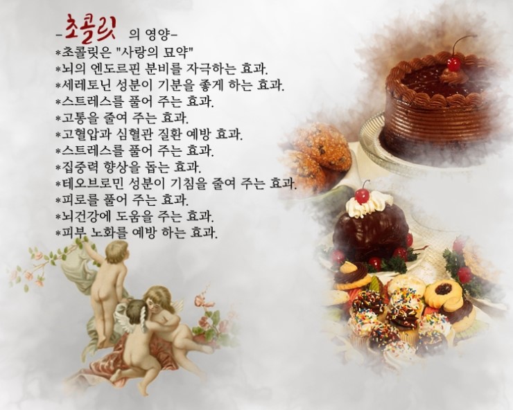  초콜릿의 영양-발렌타인데이-