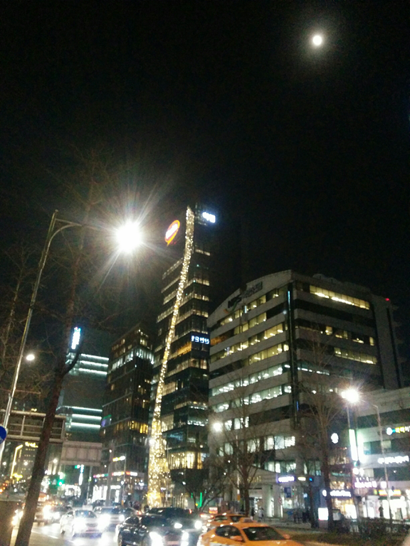  가로수길 나들이&hellip;...
