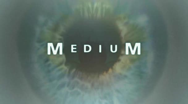  미드_고스트앤크라임(Medium)