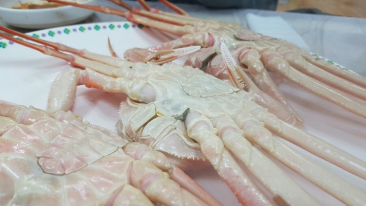  동해 묵호항에 위치한 회센터에서 킹크랩 (대게) 먹는법!