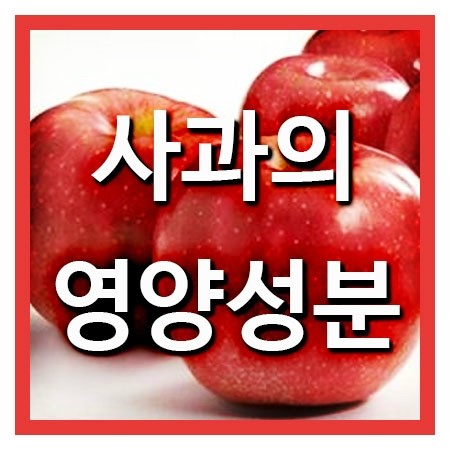  사과의 영양성분 [칼로리 및 사과의 효능]