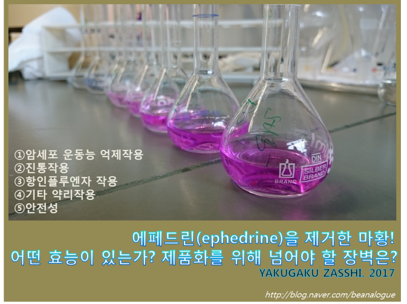ë³¸ì´ˆ ì—íŽ˜ë