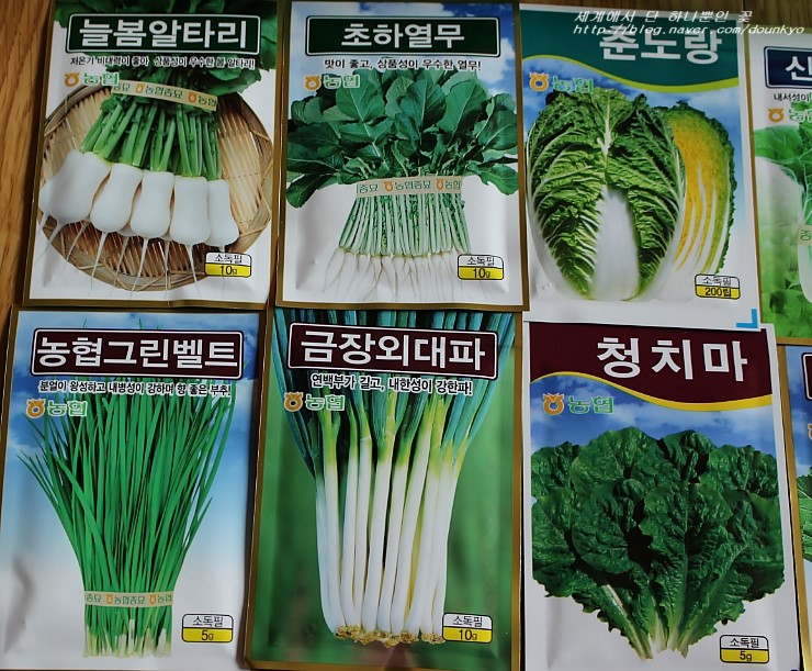  농협에서 받은 채소 씨앗들