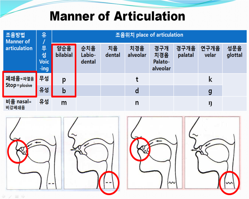 자음의 분류기준3: 조음방법-폐쇄음 : 네이버 블로그