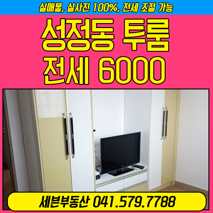  [성정동/투룸/전세] 천안 성정동 투룸 전세, 부동산정보입니다.