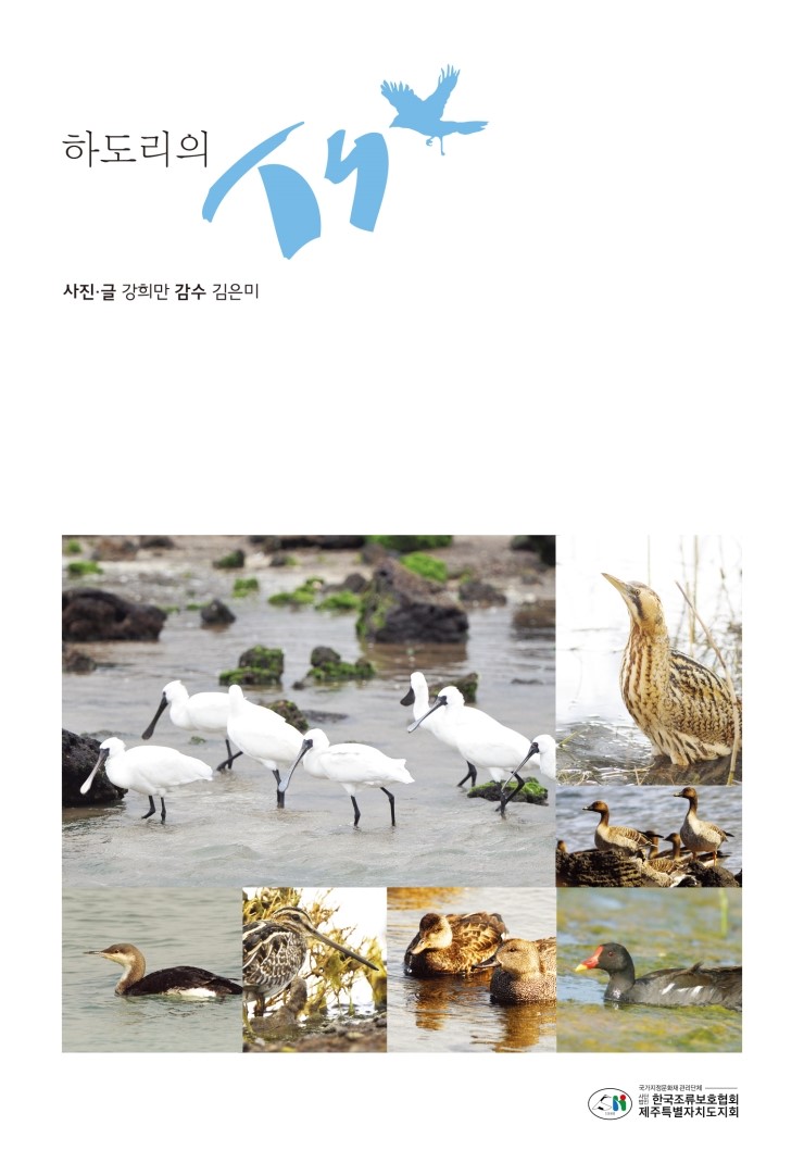  하도리의 새
