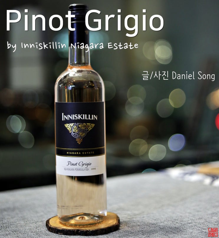  화이트와인 추천 미디움 바디감에 이지드링킹 Pinot Grigio