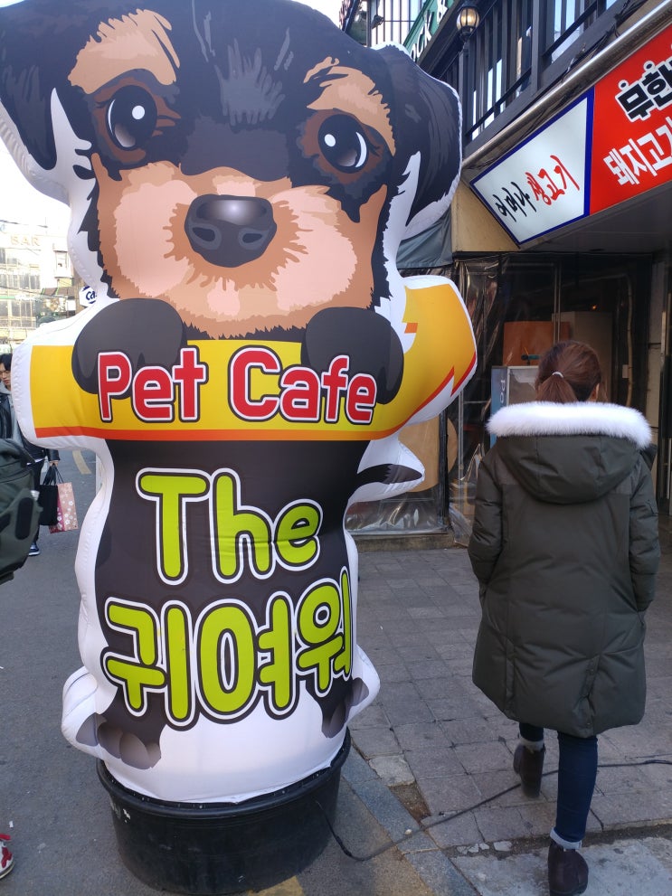  [박로하] 홍대데이트코스/홍대애견카페/애견카페/더귀여워