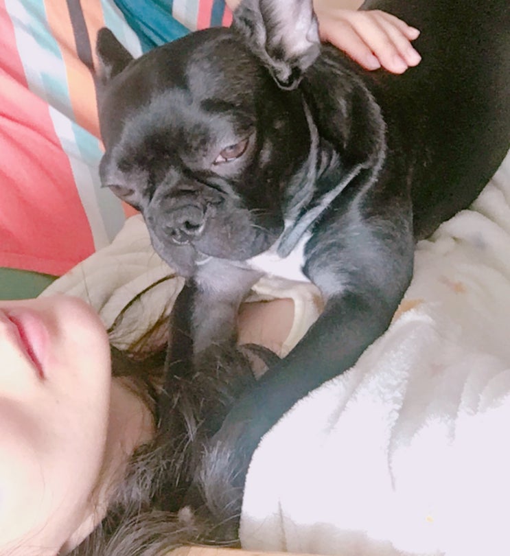 블라블라