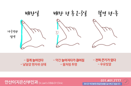 생리전 냉증분비 물량이 늘어나는 이유는