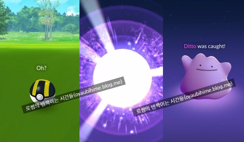 포켓몬고 메타몽에 대한 모든 것, 포켓몬GO 메타몽 잡는 법 (구구, 꼬렛, 쥬뱃, 잉어킹, 꼬리선, 부우부, 왕자리), 메타몽 체육관 전투, 스킬, 변신, 발버둥 : 네이버 블로그 포켓몬고 메타몽에 대한 모든 것, 포켓몬Go 메타몽 잡는 법 (구구, 꼬렛, 쥬뱃, 잉어킹, 꼬리선, 부우부, 왕자리), 메타몽 체육관 전투, 스킬, 변신, 발버둥 : 네이버 블로그