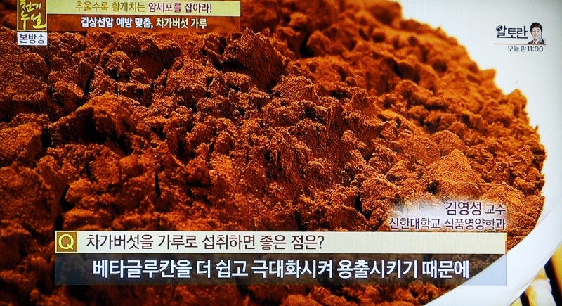천연 항암제 송이버섯, 그 모든 것을 알아보자.