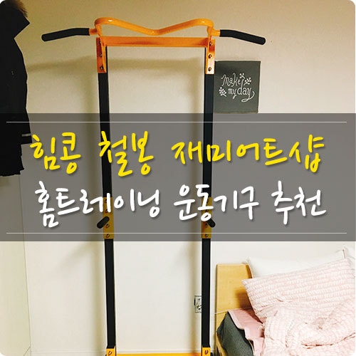 홈트레이닝 - 힘콩 철봉 구입후기! 집에서 하는 운동!