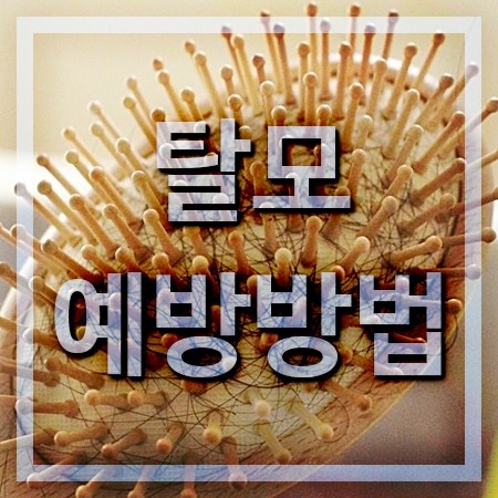  탈모예방방법 정답은 생활습관