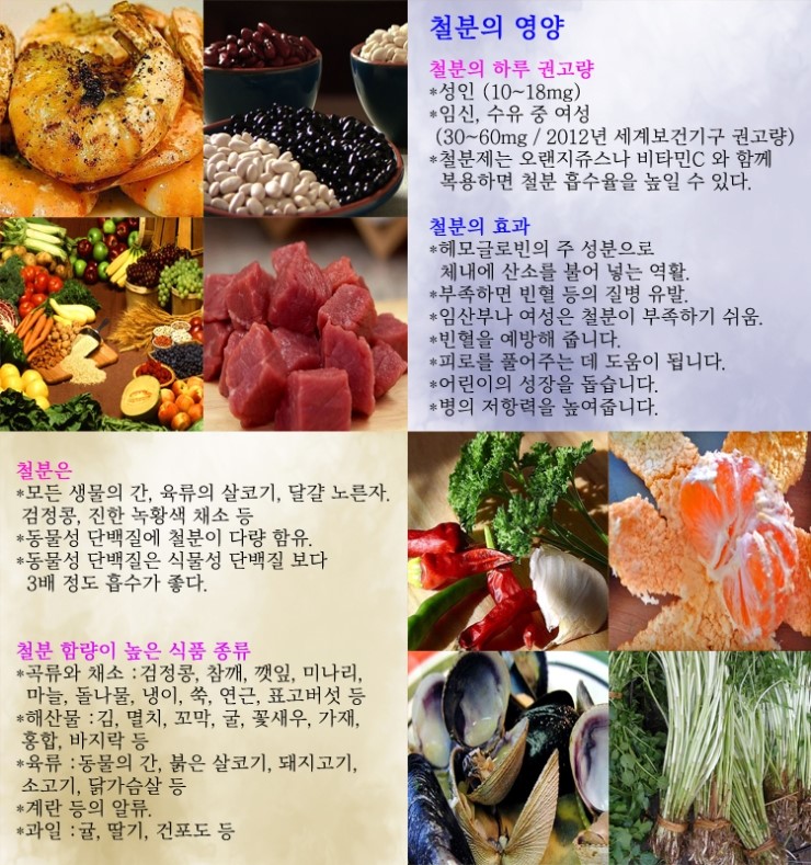  빈혈-철분의 효능-